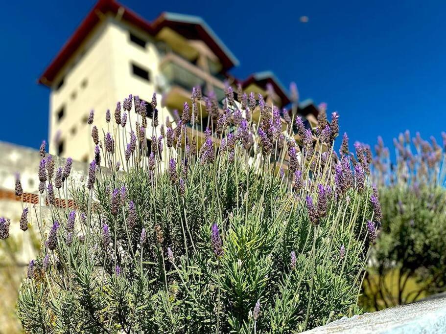 Apartmán Lindo Apartamento Na Montanha! Águas de Lindóia Exteriér fotografie